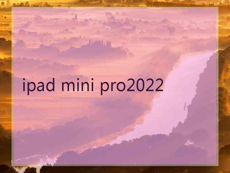 ipad mini pro2022