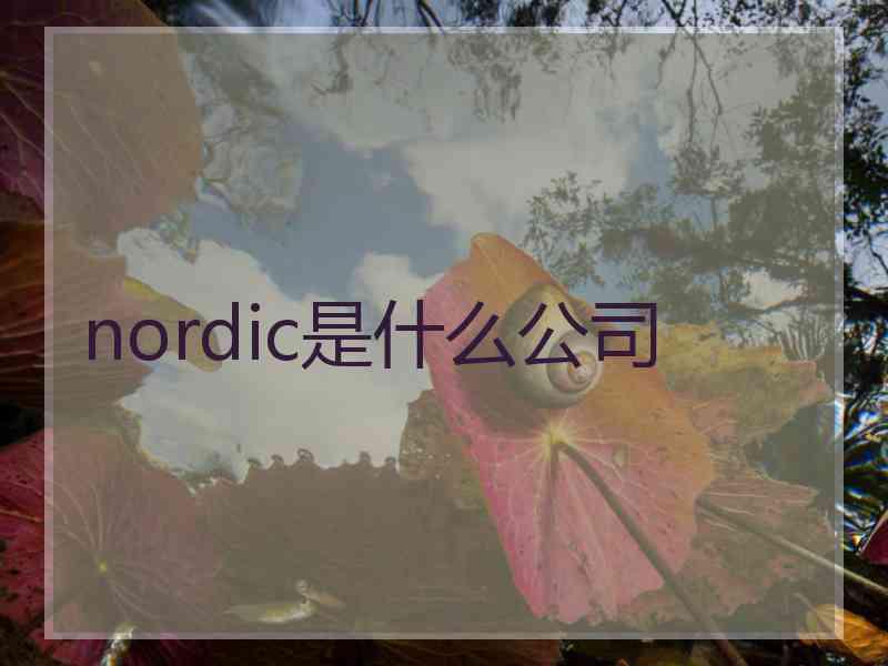 nordic是什么公司