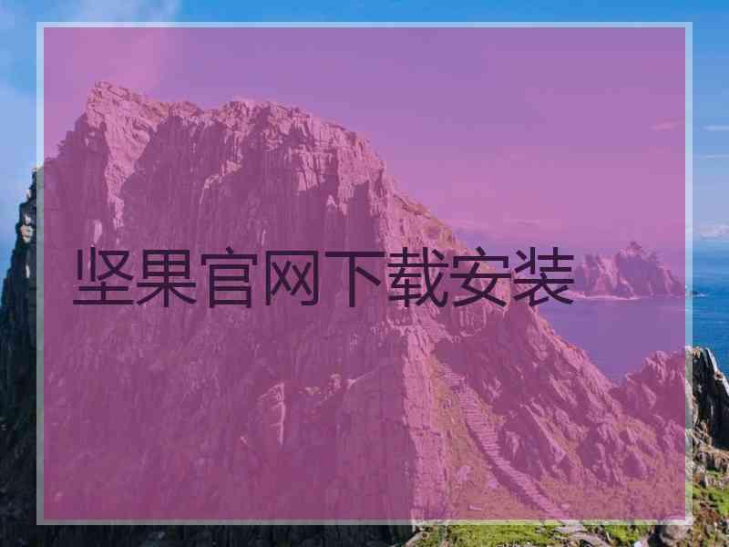 坚果官网下载安装