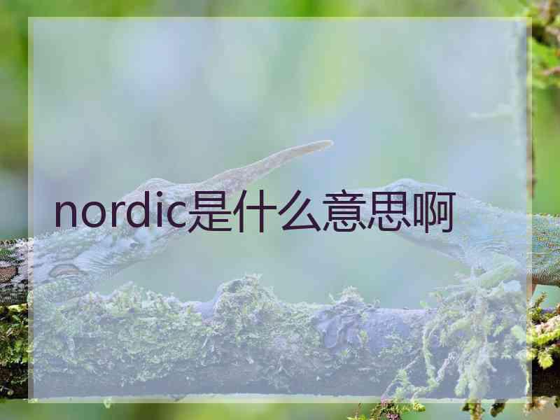 nordic是什么意思啊