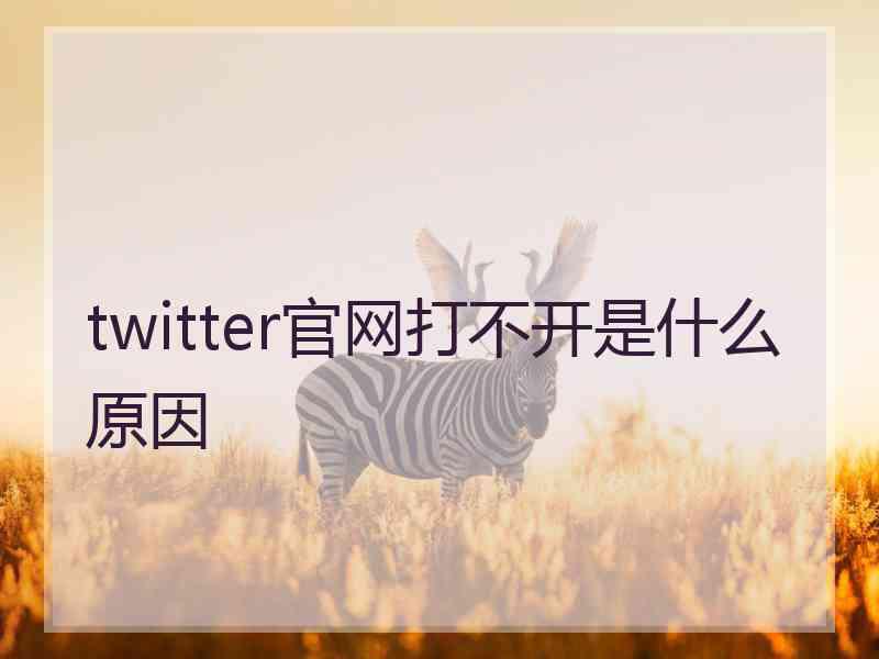 twitter官网打不开是什么原因
