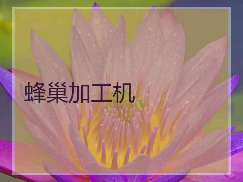蜂巢加工机