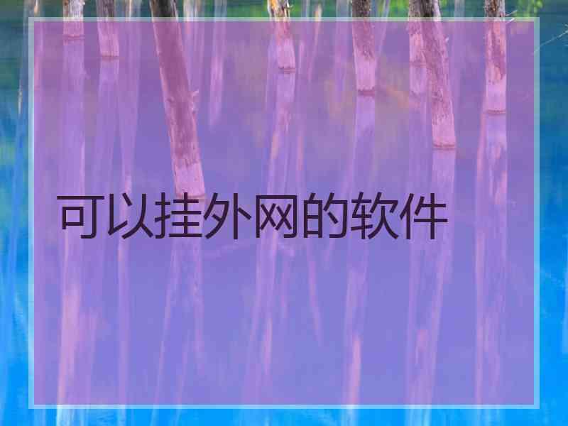 可以挂外网的软件