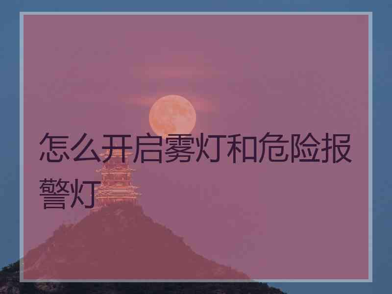 怎么开启雾灯和危险报警灯