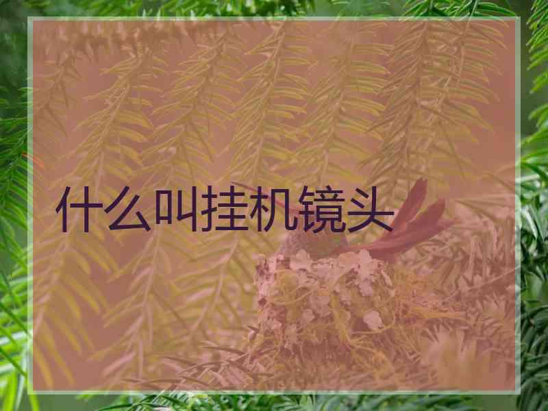 什么叫挂机镜头