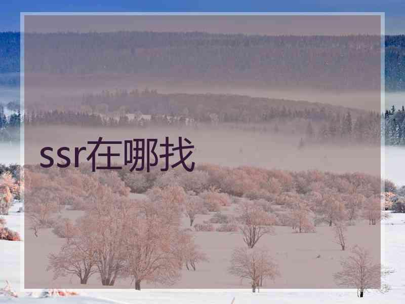ssr在哪找