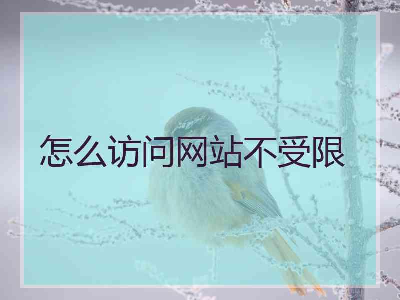 怎么访问网站不受限