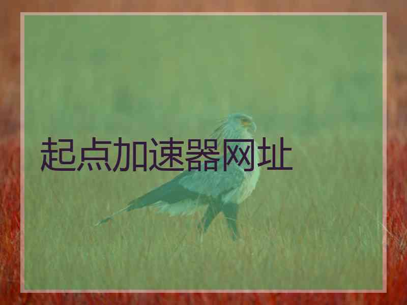 起点加速器网址