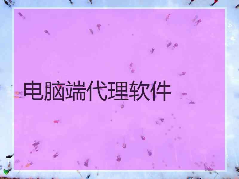 电脑端代理软件