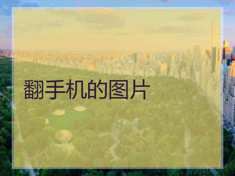 翻手机的图片