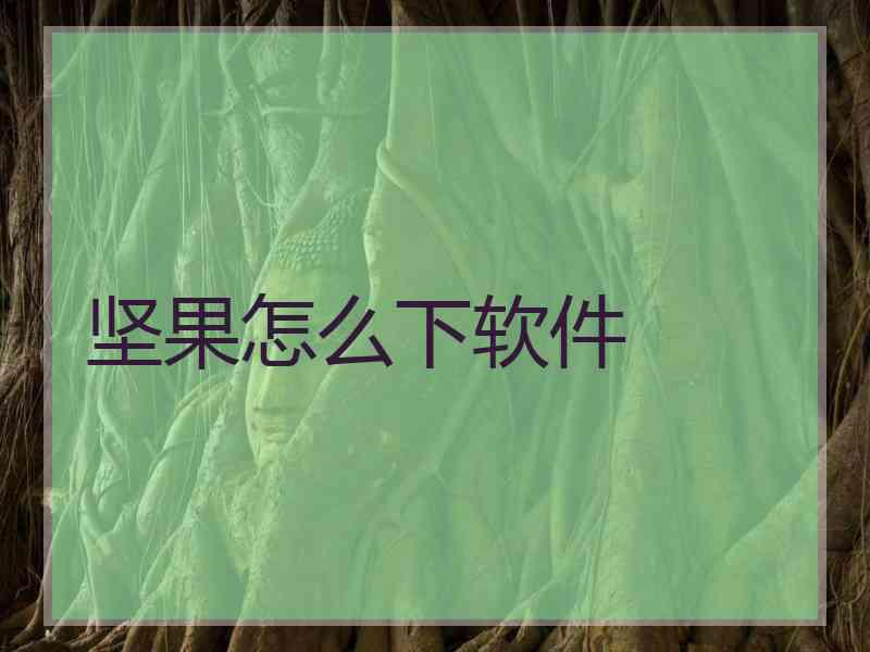 坚果怎么下软件