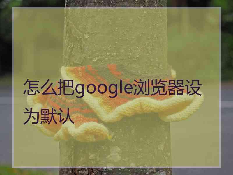 怎么把google浏览器设为默认