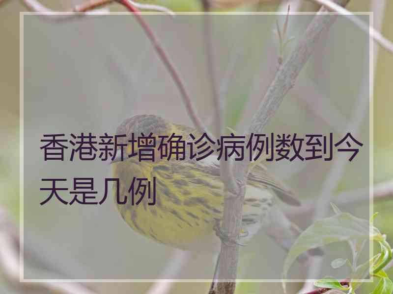 香港新增确诊病例数到今天是几例
