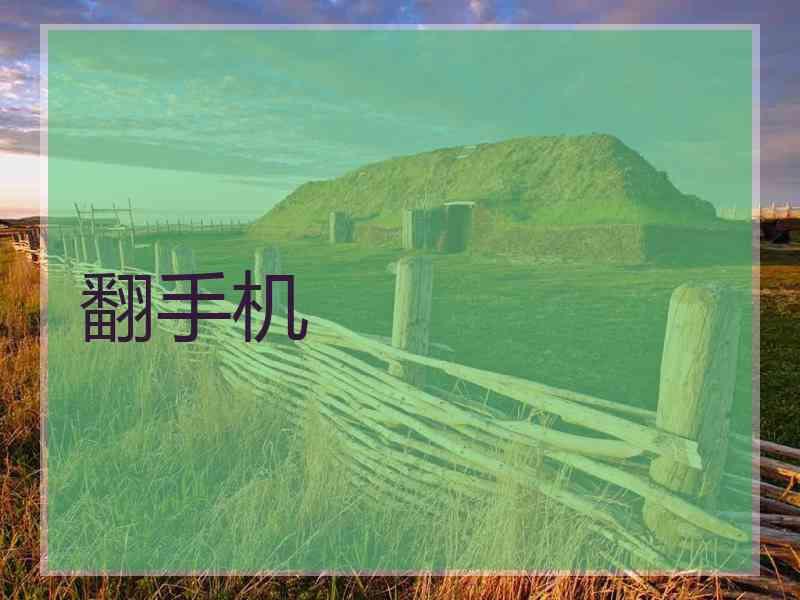 翻手机