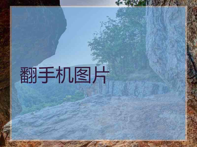 翻手机图片
