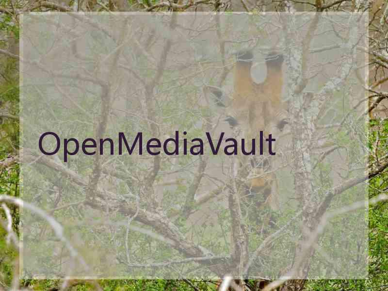 OpenMediaVault