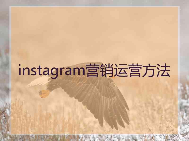instagram营销运营方法
