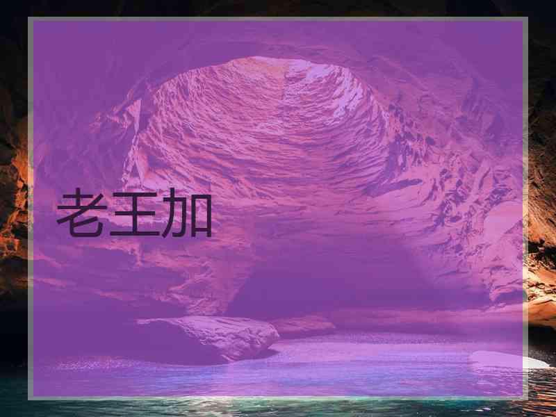 老王加