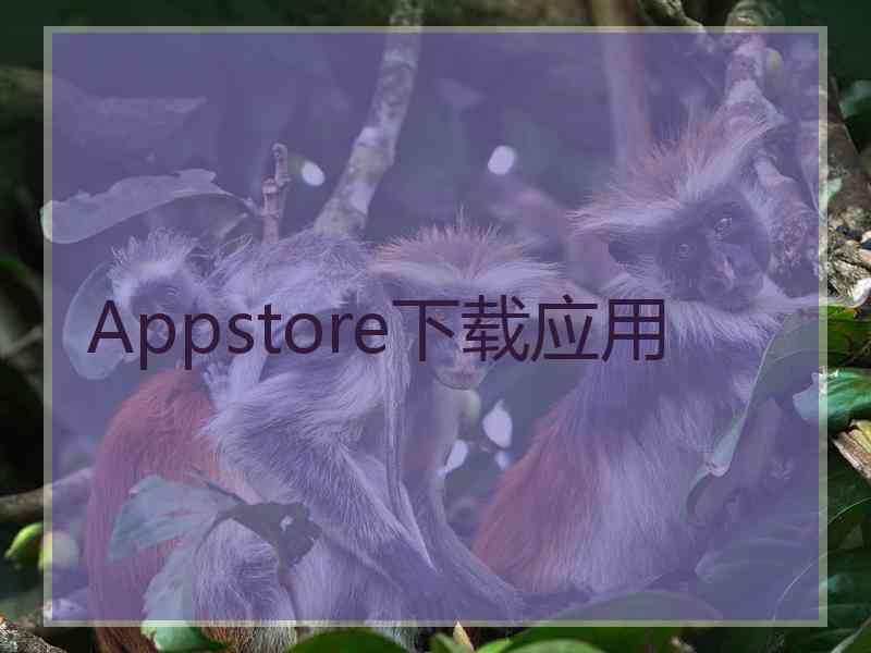 Appstore下载应用