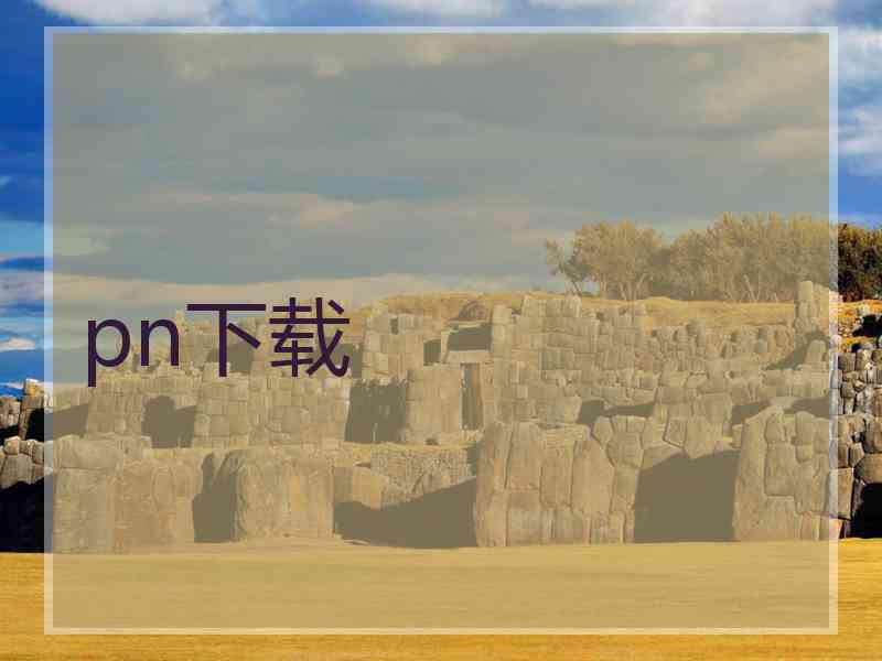 pn下载