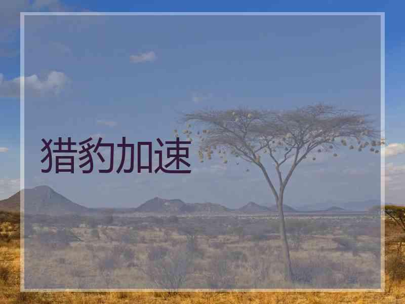 猎豹加速