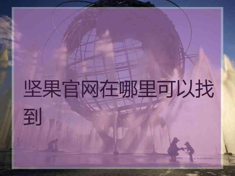 坚果官网在哪里可以找到