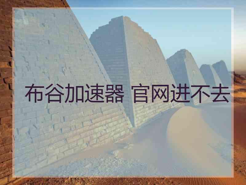 布谷加速器 官网进不去