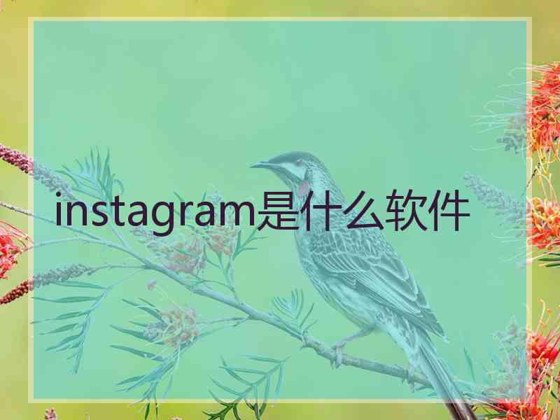 instagram是什么软件