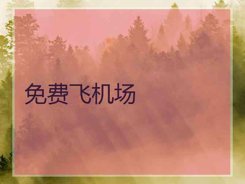 免费飞机场