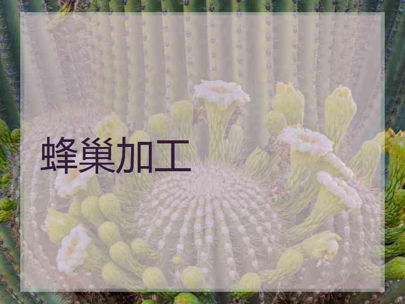 蜂巢加工