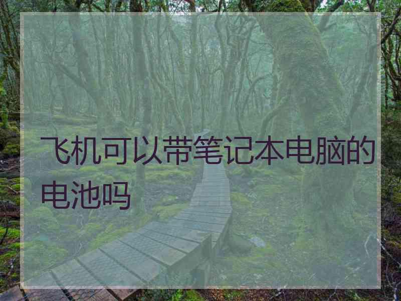 飞机可以带笔记本电脑的电池吗