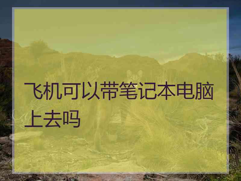 飞机可以带笔记本电脑上去吗