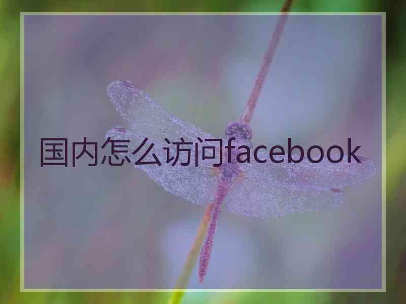 国内怎么访问facebook