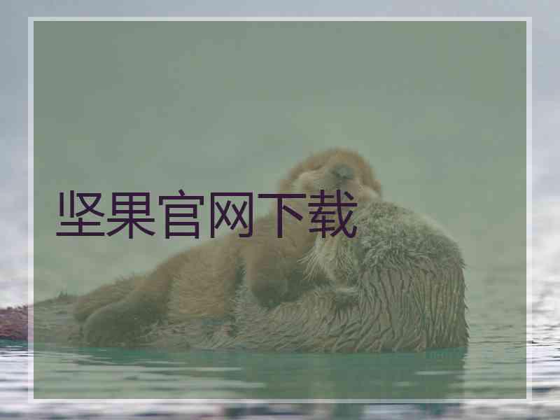 坚果官网下载