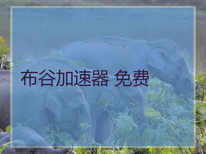 布谷加速器 免费