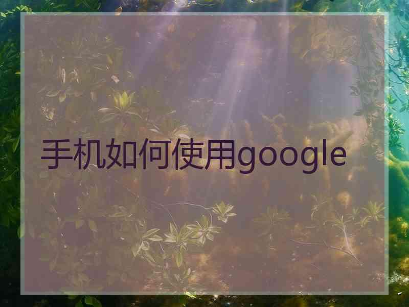 手机如何使用google