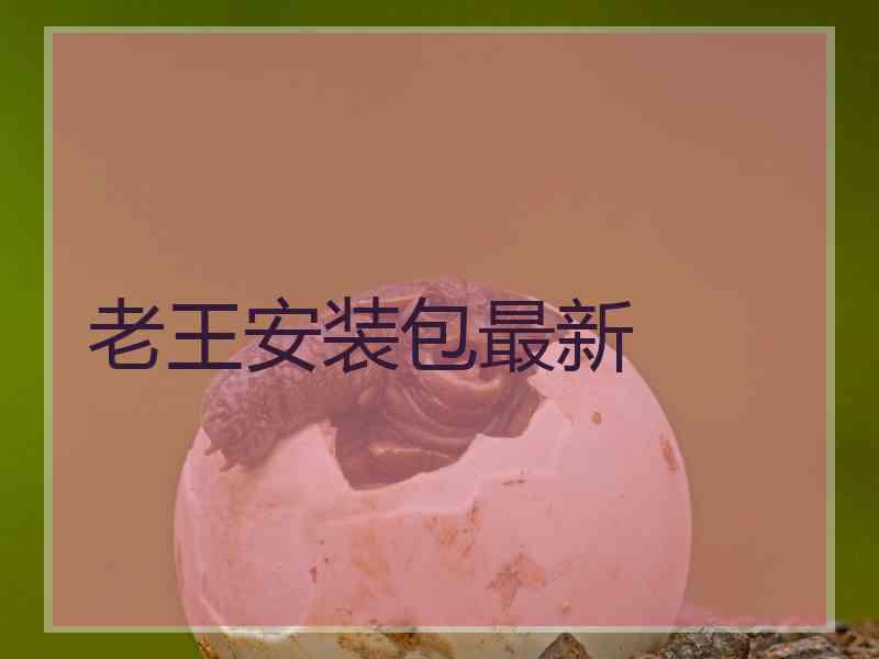 老王安装包最新