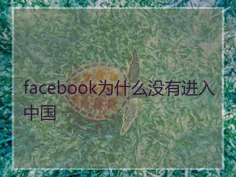 facebook为什么没有进入中国