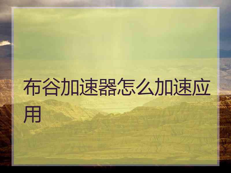 布谷加速器怎么加速应用