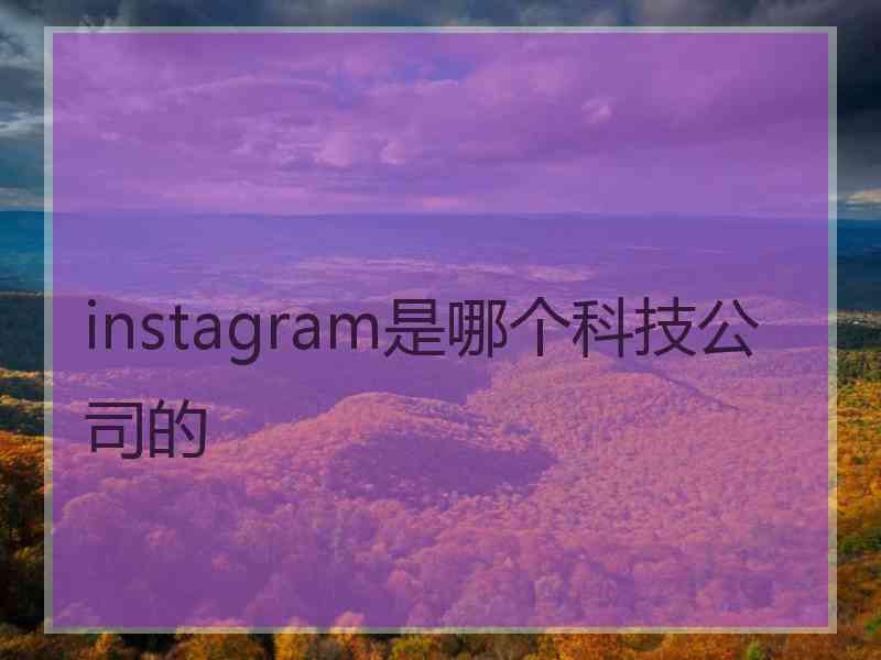 instagram是哪个科技公司的