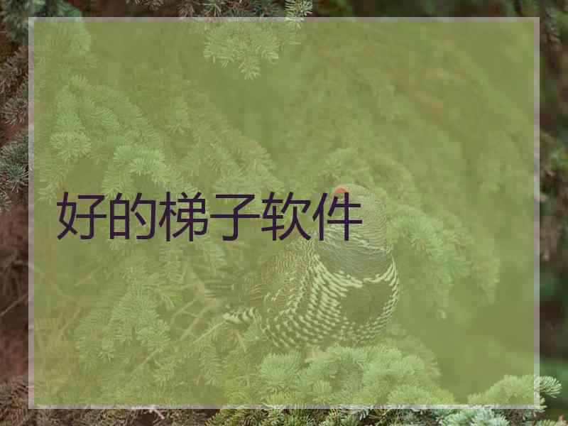 好的梯子软件