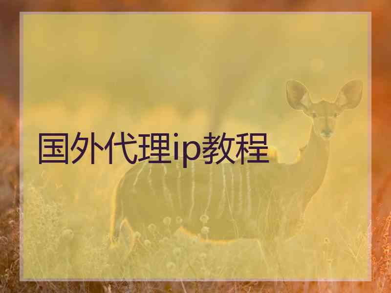 国外代理ip教程