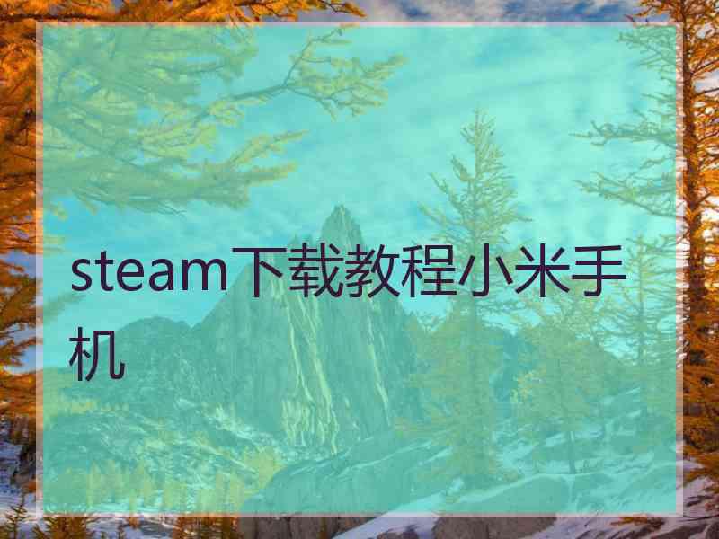 steam下载教程小米手机