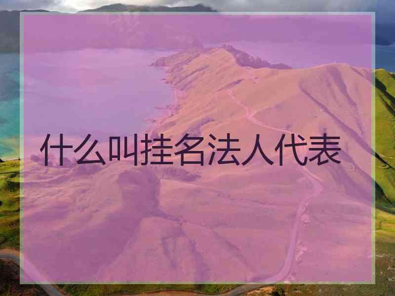 什么叫挂名法人代表