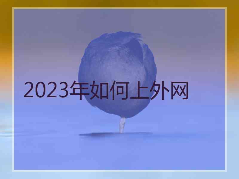 2023年如何上外网