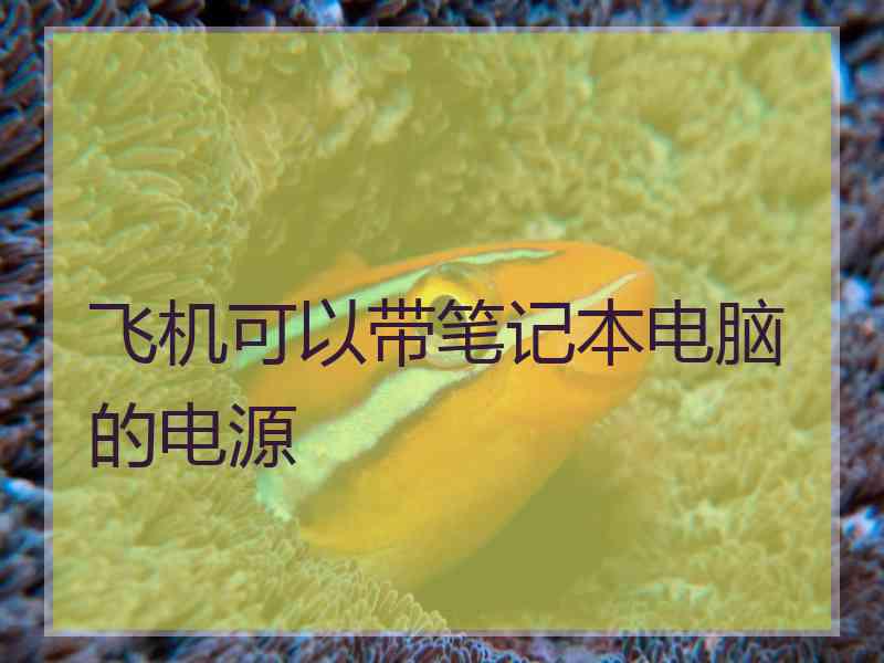 飞机可以带笔记本电脑的电源