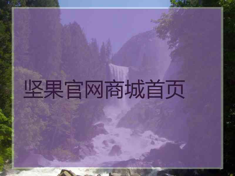 坚果官网商城首页