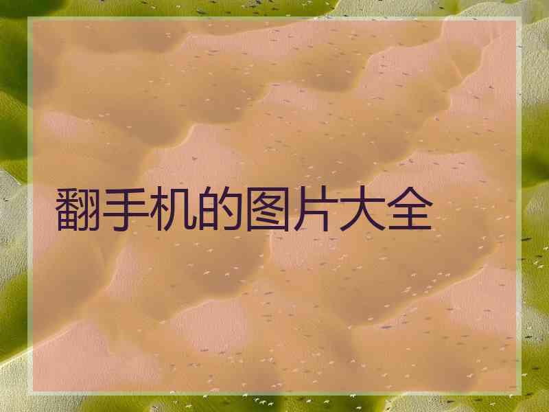 翻手机的图片大全