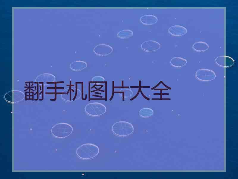 翻手机图片大全