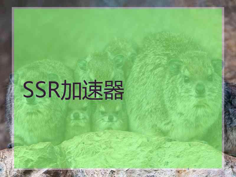 SSR加速器